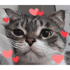 yana_20220121215216 – Stickers LINE | LINE STORE