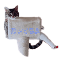 himawari_20220123144915