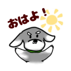 ミニチュアシュナウザーのカヌレ