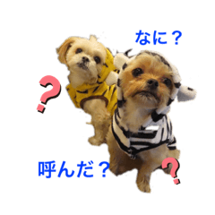 saya_20220123135253