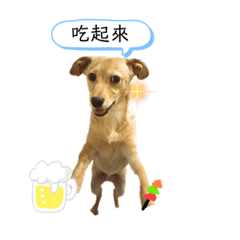 抖抖皮哥