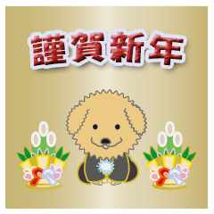 Pet dog Toy Poodle of my home vol.1