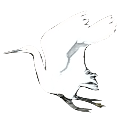 Little egret Sticker on the riverside