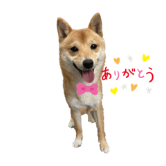 Ayumi_20220123145646