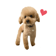 saori_20220123145242