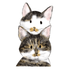 cat & cat brothers sticker