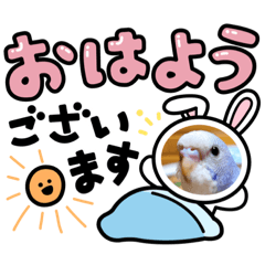 Mitsuki_20220123183304