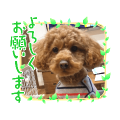 himawari_20220123204549