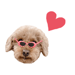 Nozomi_20220123204206