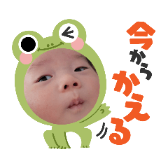 melon_20220123183127