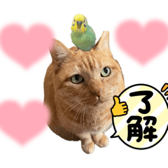 hana_20220124103630
