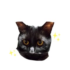 hiyori_20220123191247