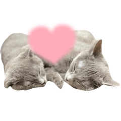 ash.ema_20220123175928