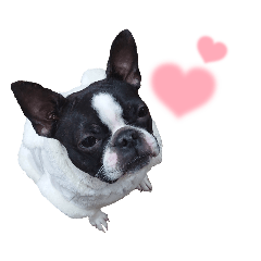 cherry_20220123191318