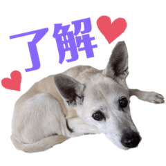 Natsumi_20220123234420