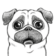 Move! Melancholy Pug 3