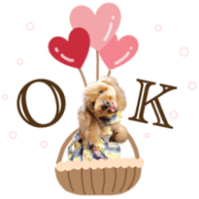Valentine of Coco