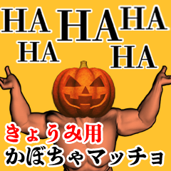 Kyoumi Pumpkin macho