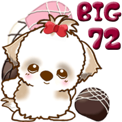 【Big】シーズー犬 72『バレンタイン＆♥』
