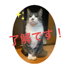 1HANA