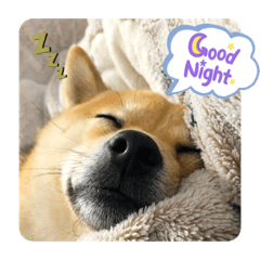 yukari_20220124132642