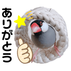 Nozomi_20220124144325