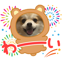 natsumi_20220124150448