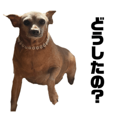 kaito_20220124031751