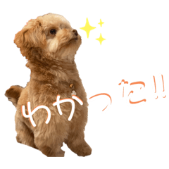 COCO STAMP2022ver.
