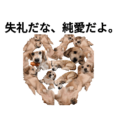 CHRIS_20220124130231