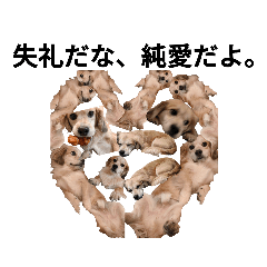 CHRIS_20220124133942