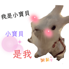 肥軟是我