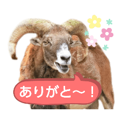 chie_20220124195622