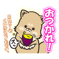 Pomeranian "Komachi" Sticker Volume 2