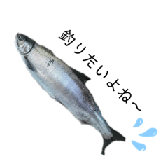 Seira_20220125041641