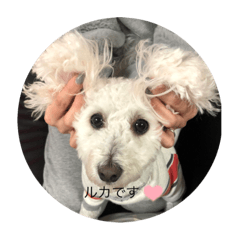 ayumi_20220124174141