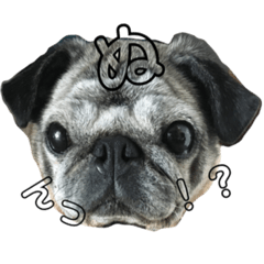 nanami_20220124175419