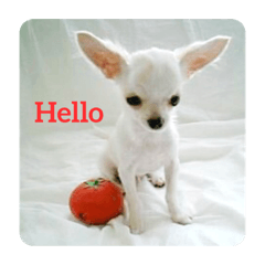 Jack_20220124192032