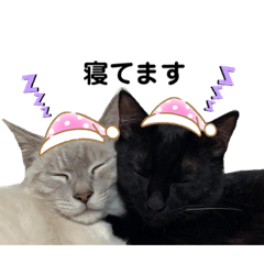 Sayuri_20220124202631