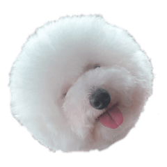 omochi_20220124173522