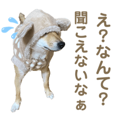 Ayumi_20220125103616