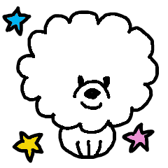 Small and fluffy Bichon Frize