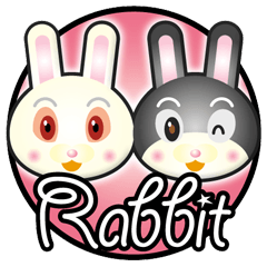 rabbit boys