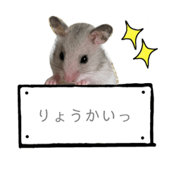 mochi*
