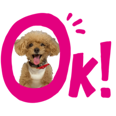 natsumi_20220125003537