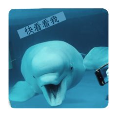 佩佩日常生活讚1-1