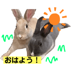 okoge&omochi the rabbit_20220124194105
