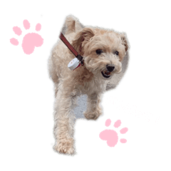 yuka_20220125074748