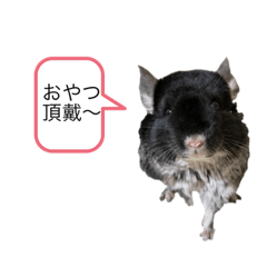 Hanamama_20220125151348
