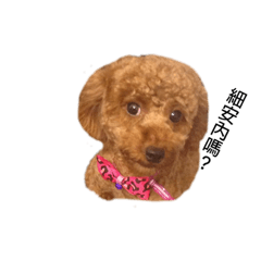 YEH LI CHUN_20220125130615 – LINE stickers | LINE STORE